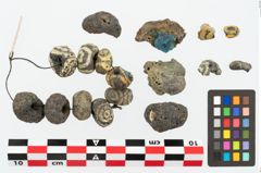 Foto von Glasaugenperle (NHMW-PRAE-026867)
